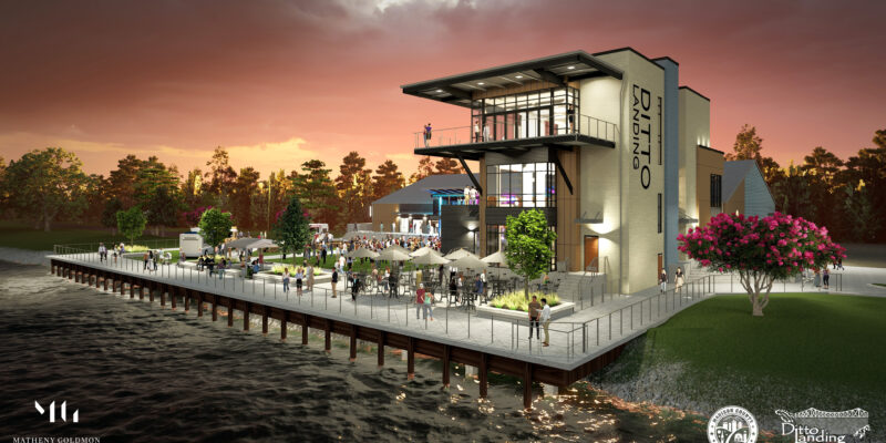 Ditto Landing Rendering