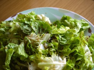 salad at eaves