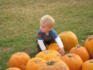 pumpkin picking at Tate Farms