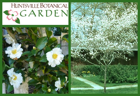 Huntsville Botanical Gardens fall plant sale