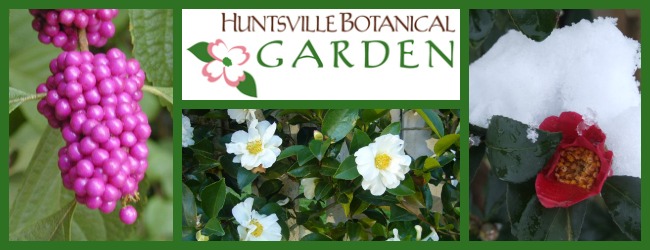 Huntsville Botanical Garden plant sale
