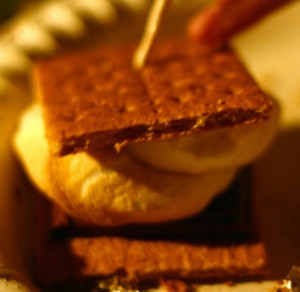 s'mores at burritt on the mountain