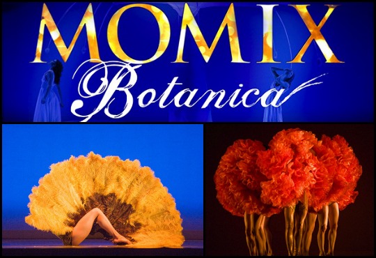 momix botanica huntsville ballet company
