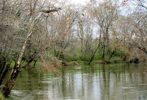 Flint River, location for Earth Day at Hays Nature Preserve