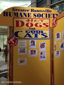 hot dogs and cool cats pet photo contest sign