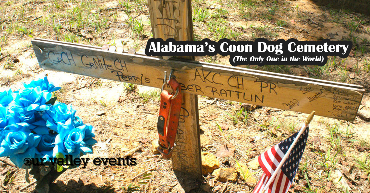 Alabama’s Coon Dog Cemetery (The Only One in the World)