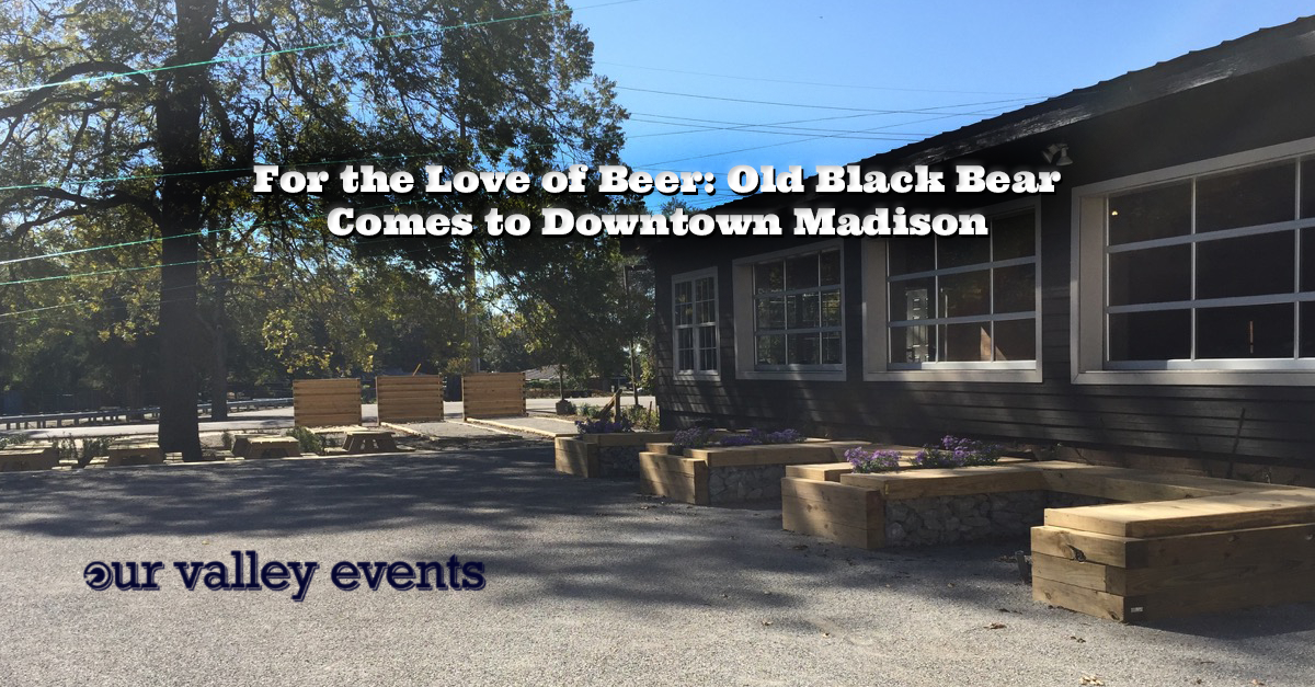 For the Love of Beer Old Black Bear Comes to Downtown Madison