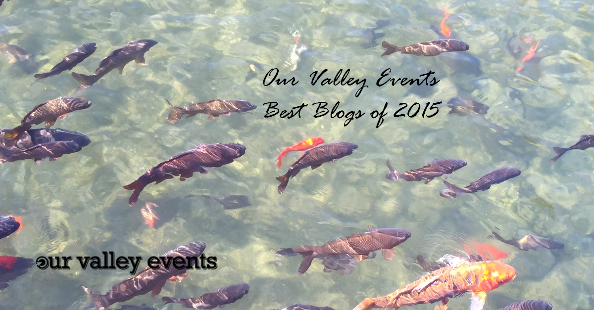 Our Valley Events Best Blogs of 2015