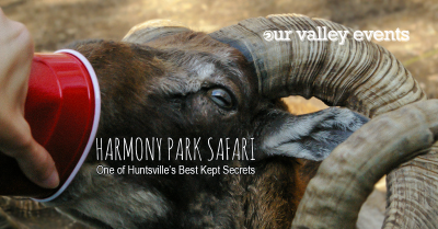 Harmony Park Safari - One of Huntsville's Best Kept Secrets We Are