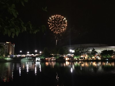 Panoply fireworks