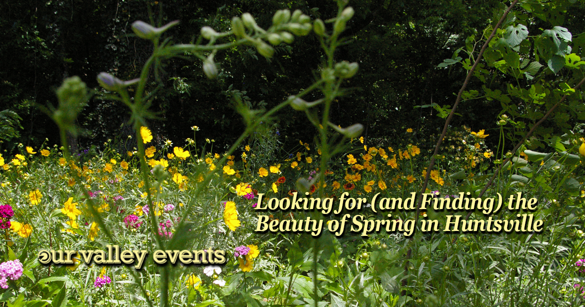 Spring Blooms in Huntsville