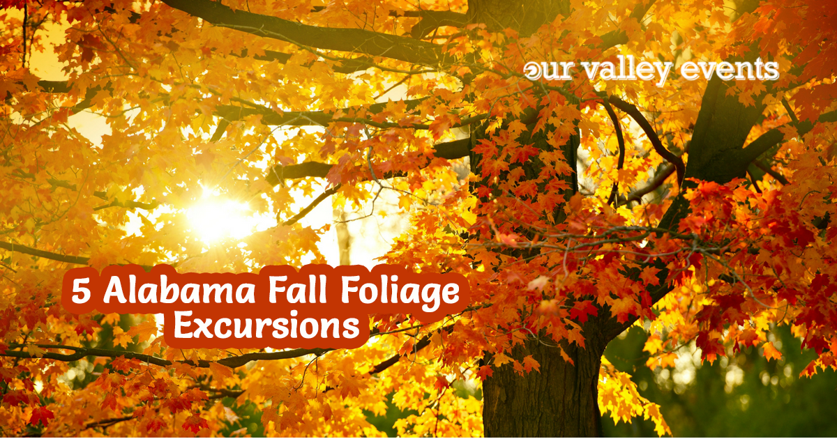 Alabama Fall Foliage Excursions