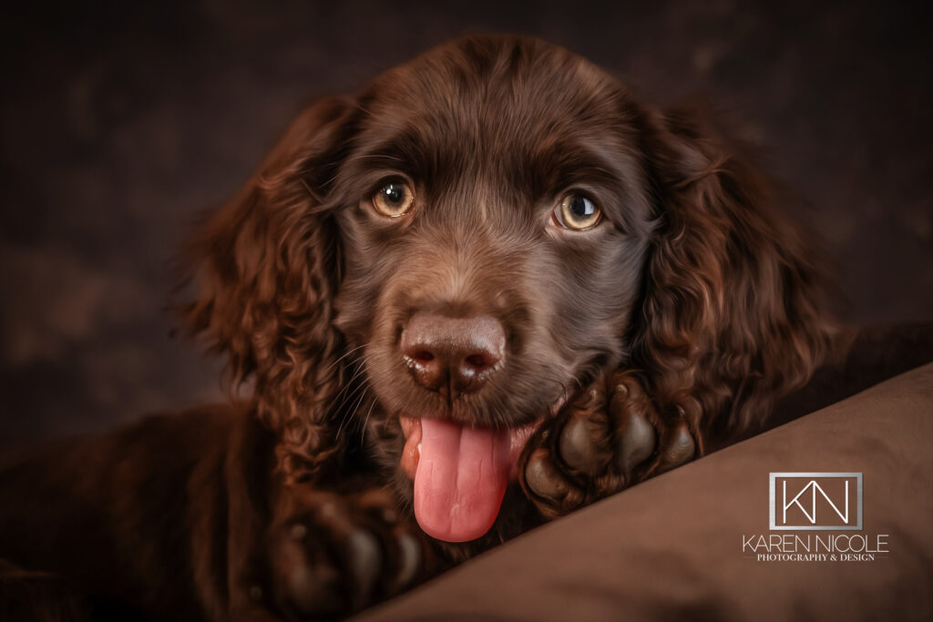 Portrait session photographed by Karen Nicole Photography in Hazel Green, Alabama.