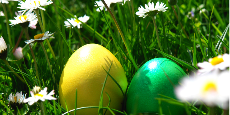 easter eggs in the grass with flowers