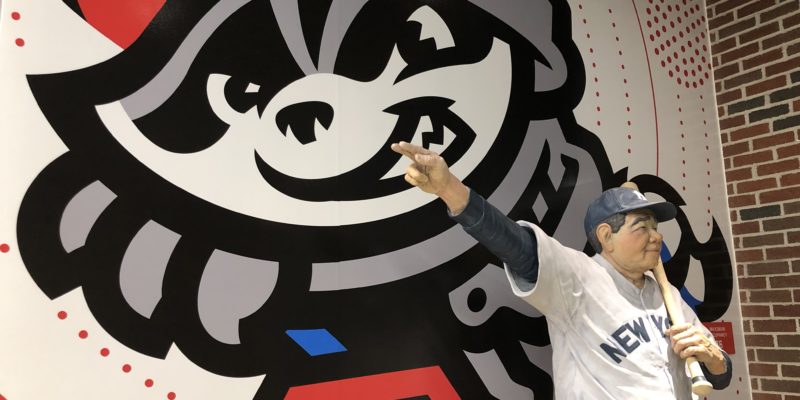 trash panda mural