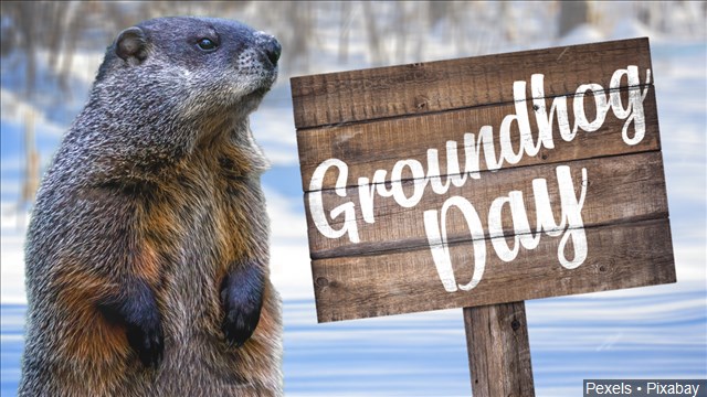 Groundhog day