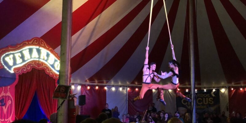 acrobats at the circus
