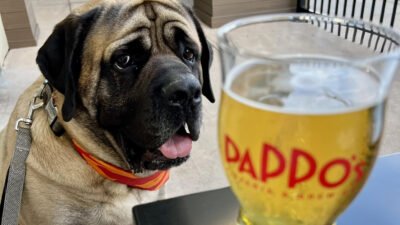 Dog and Pappo's Beer